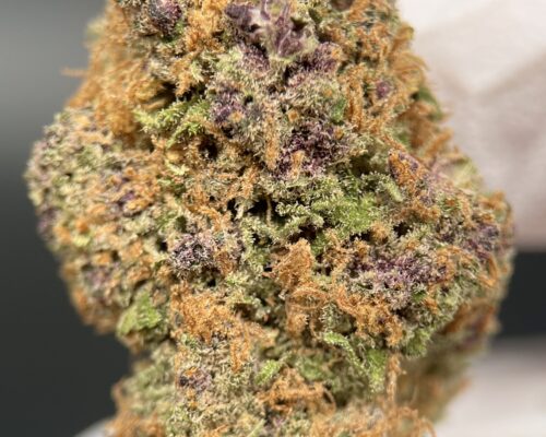 CBD para Principiantes: Guía Completa para Tu Primera Compra en 2025