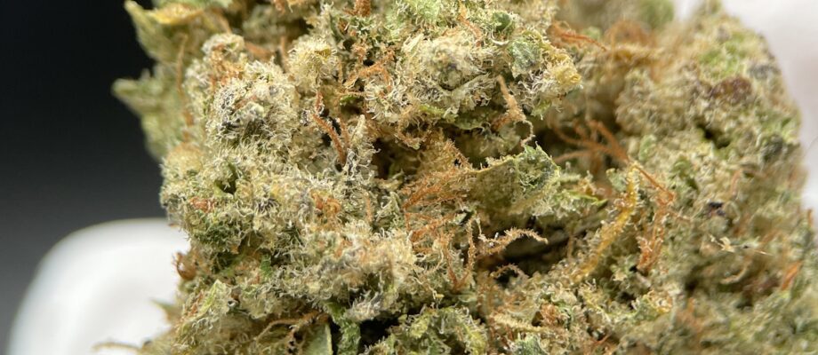 Comprar CBD Barato en 2026: 8 Claves para Ahorrar Sin Sacrificar Calidad