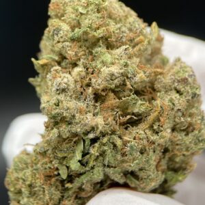 GELATTO CBD HIDROPONICA