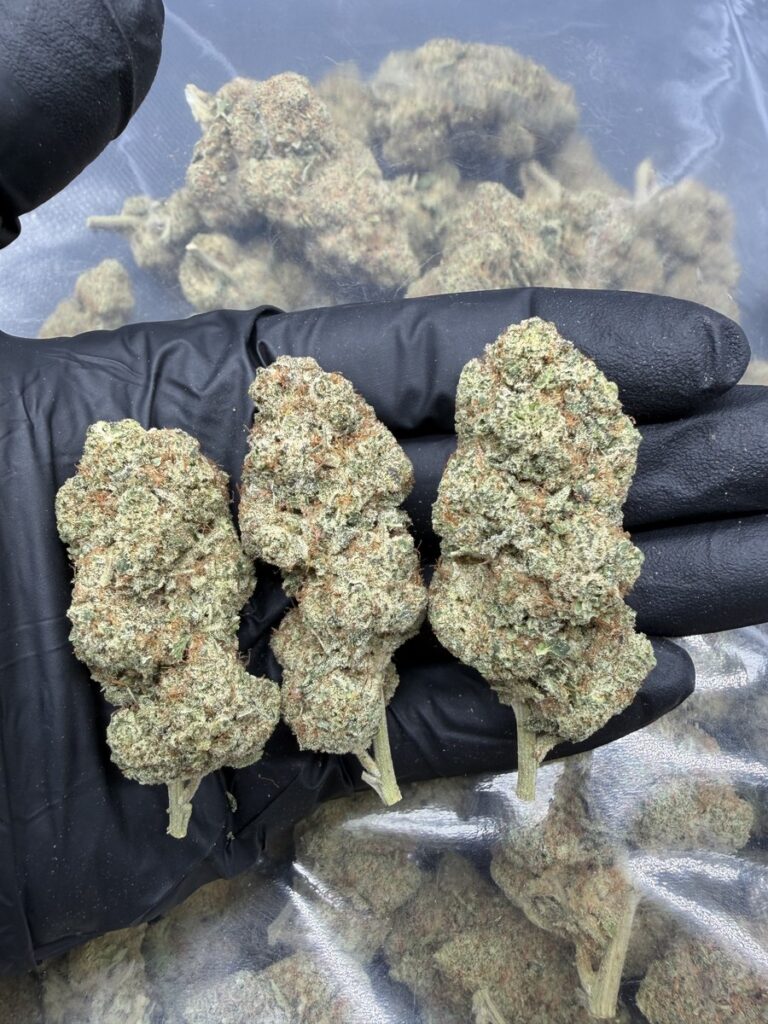 Buds de cannabis en una mano.