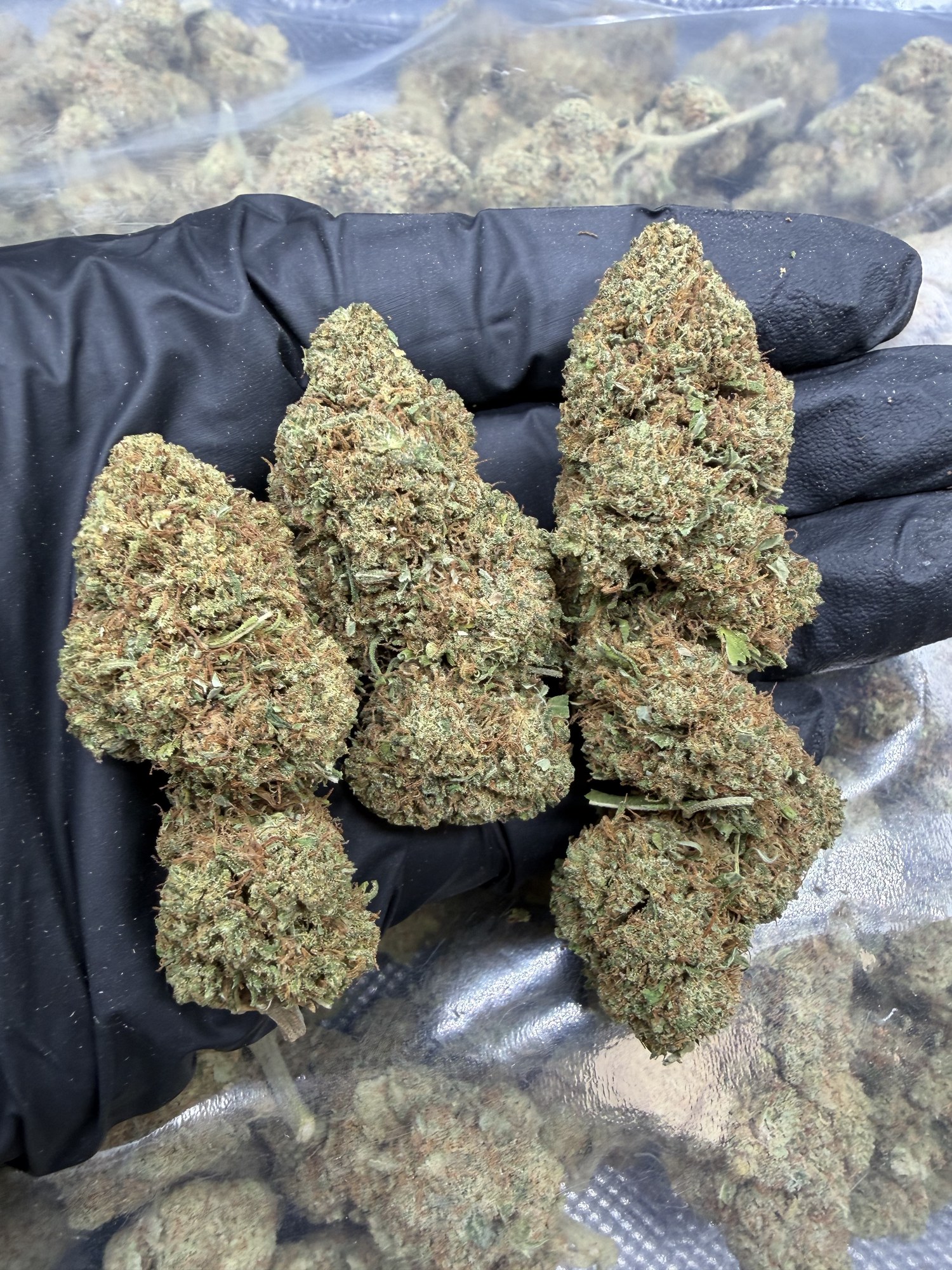 Flores CBD Bullet Kush cogollos compactos indoor - COMPAR CBD