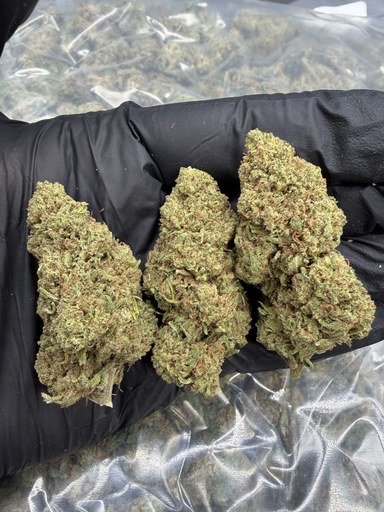 Flores CBD Dosilado premium indoor resinosa dulce - COMPAR CBD