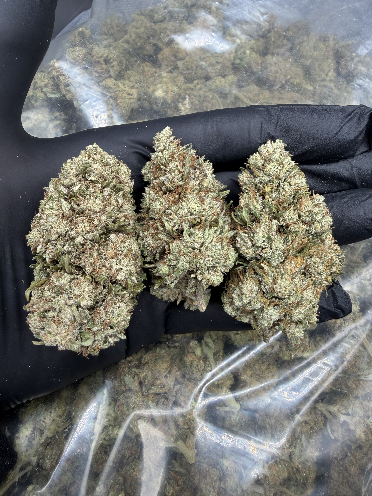 Flores CBG Oreo Cake dulce cremosa indoor cannabigerol - COMPAR CBD