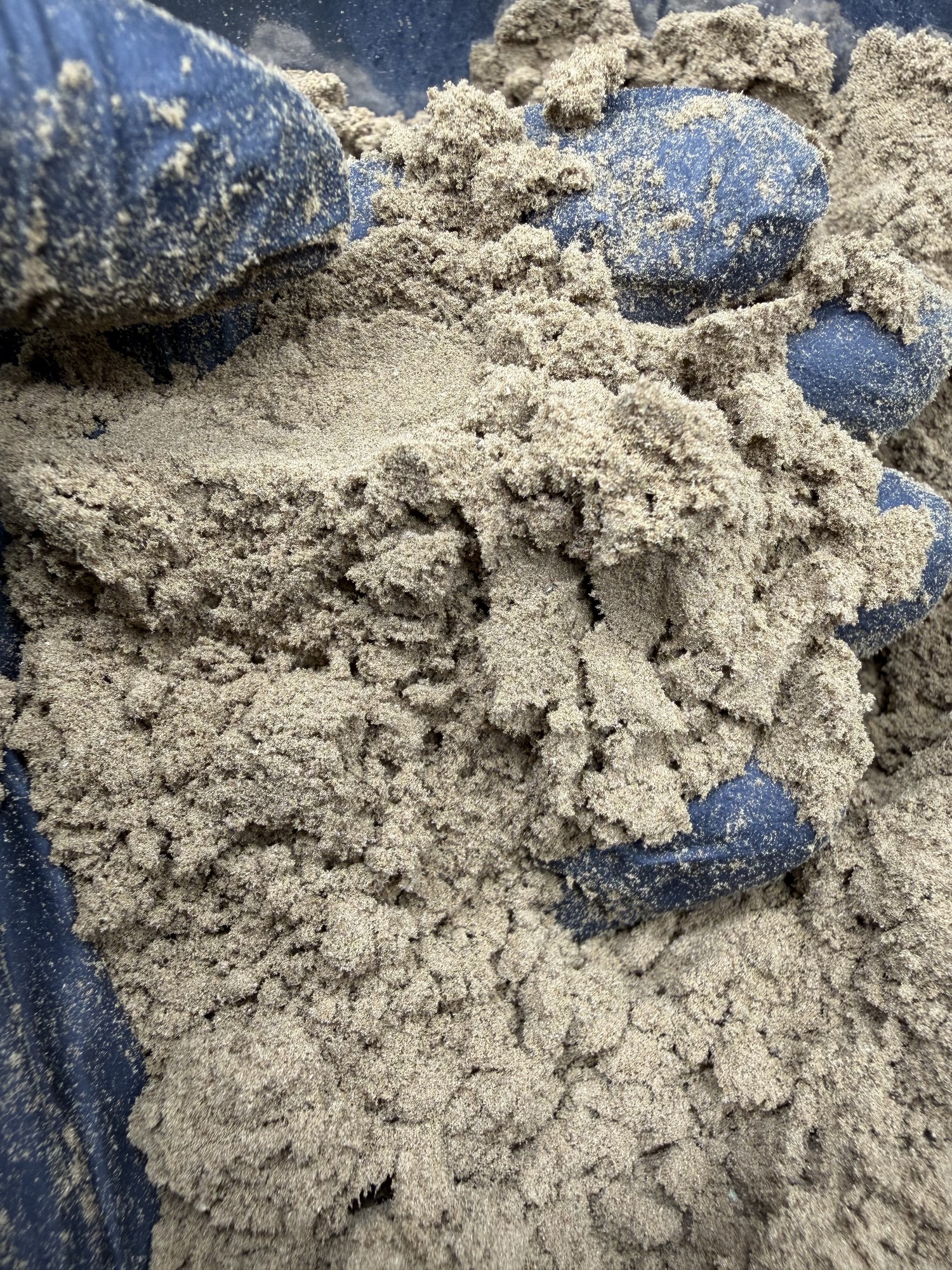 Pollen CBD Hash — Hash CBD premium con THC