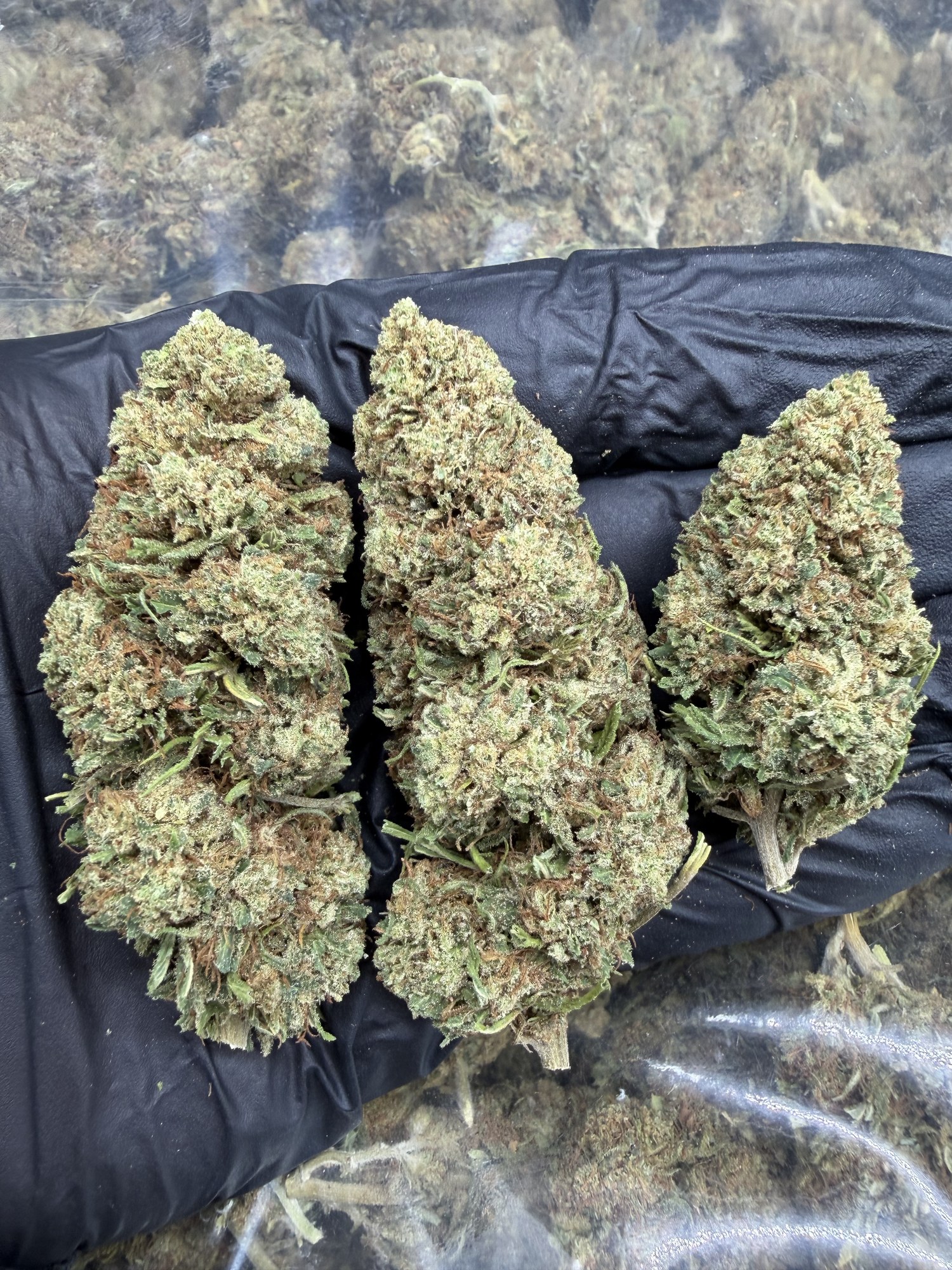 Flores CBD White Melon blanca resinosa aroma melón fresco - COMPAR CBD