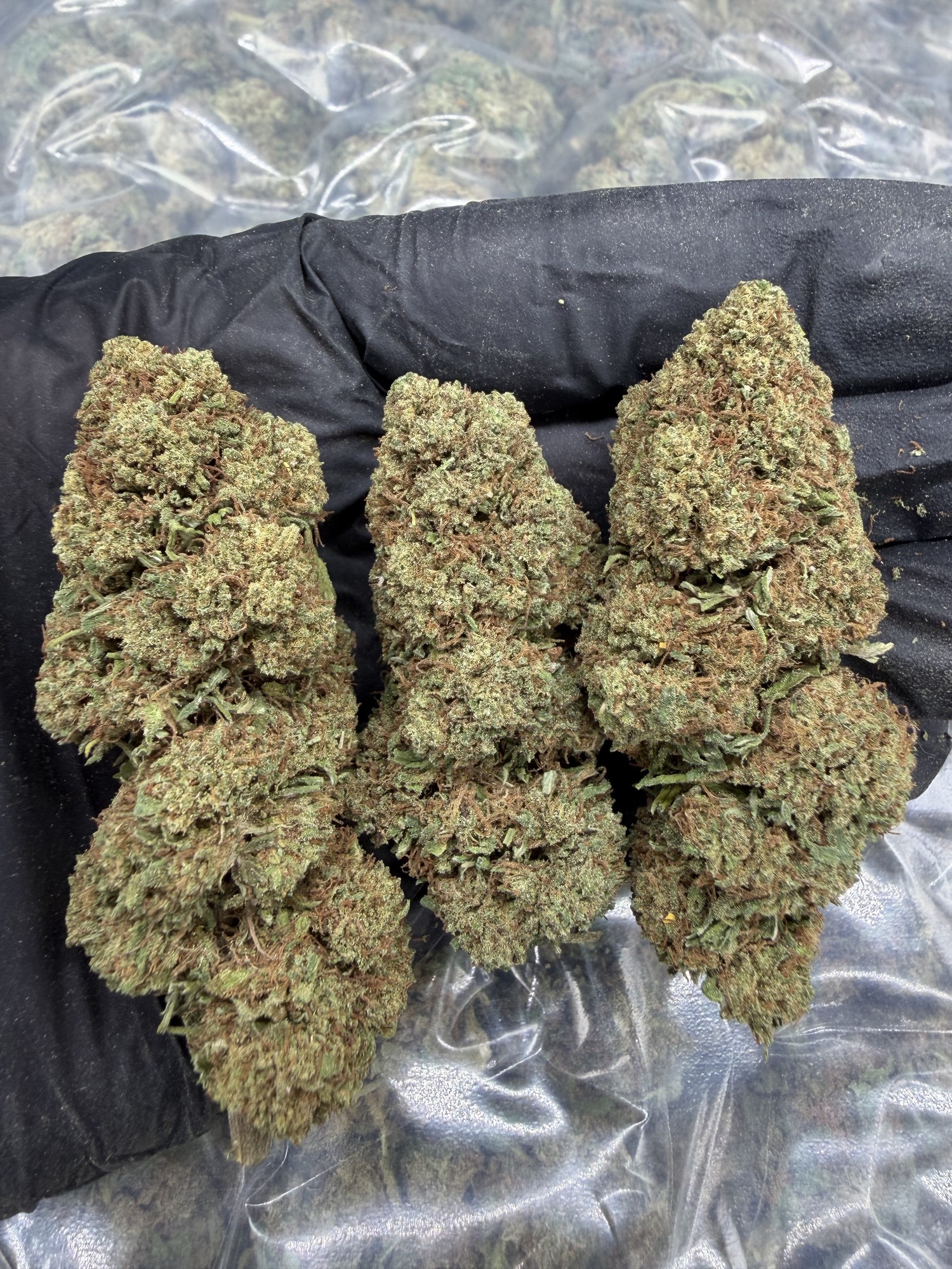 Flores CBD White Widow blanca tricomas legendaria indoor - COMPAR CBD